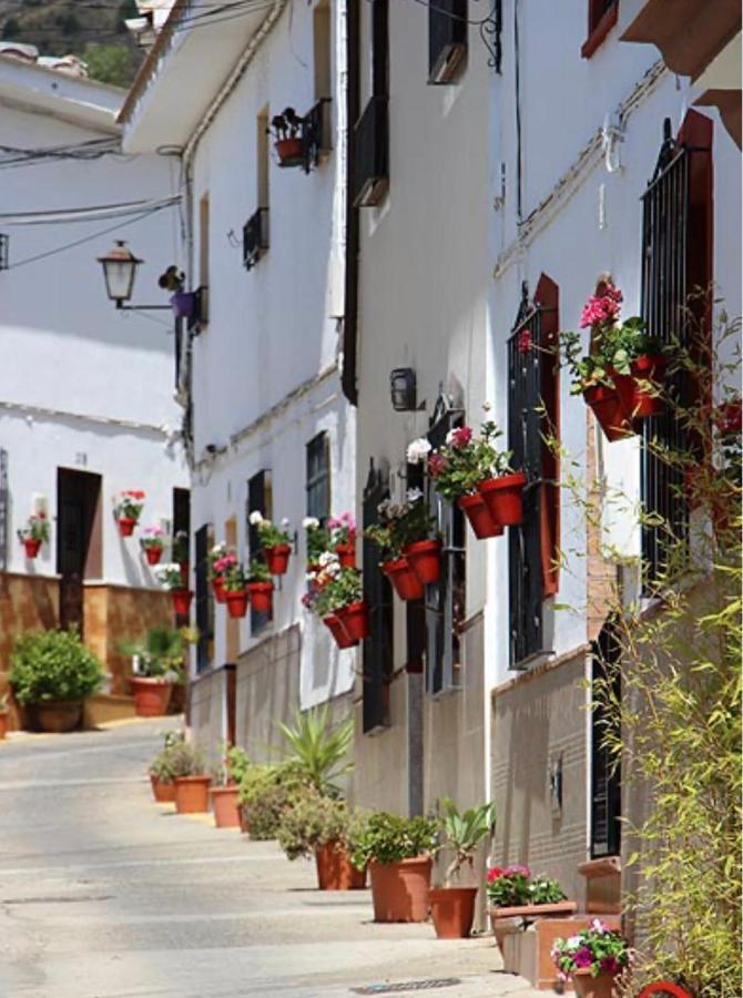 Mirasierrahome... Tu Hogar De Vacaciones! Alora Εξωτερικό φωτογραφία